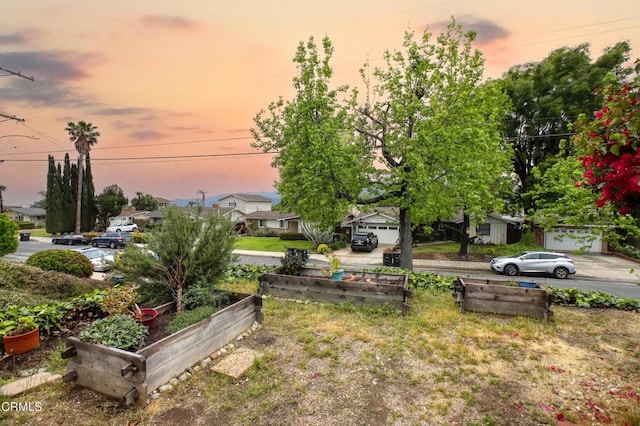 view of yard with a garden and a residential view