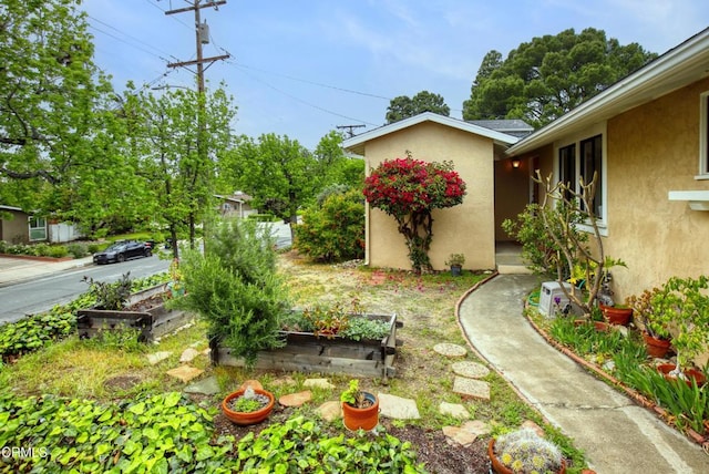 view of yard featuring a vegetable garden