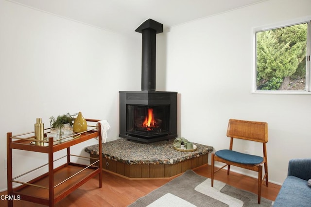 sitting room featuring a wood stove and wood finished floors