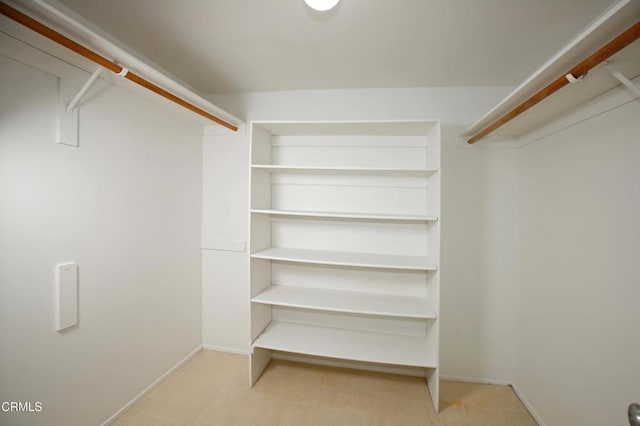 walk in closet featuring carpet floors