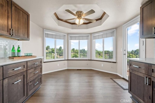 kitchen with a tray ceiling, ceiling fan, healthy amount of natural light, and light countertops