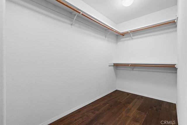 spacious closet featuring wood finished floors