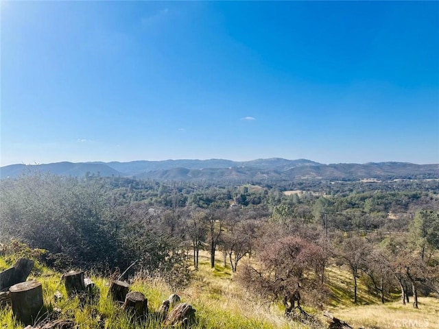 mountain view
