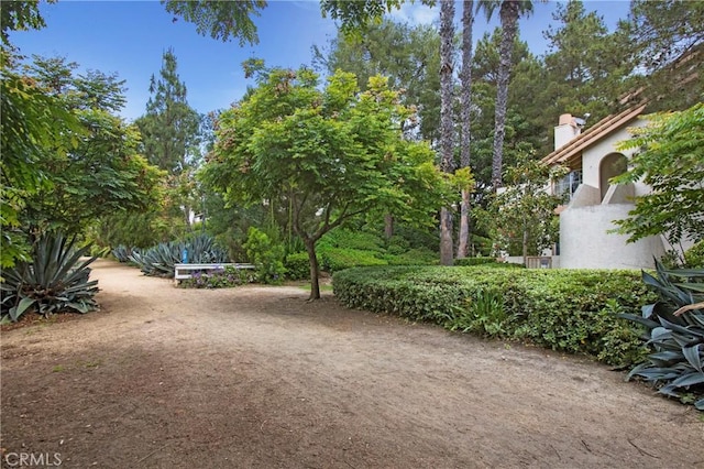 26511 Merienda Unit 7, Laguna Hills, CA 92656 - view of yard