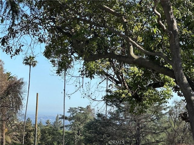 1185 E Altadena Dr, Altadena, CA 91001 - photo 22