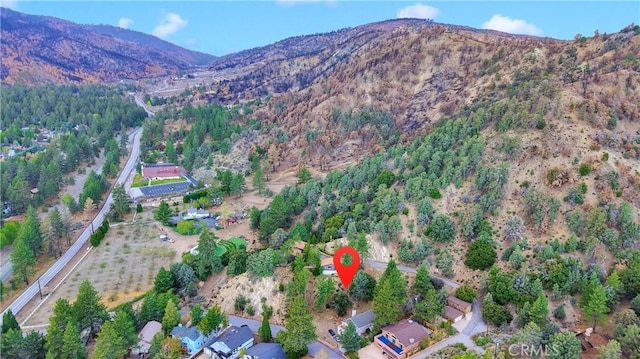 1050 Rivera Dr, Wrightwood, CA 92397