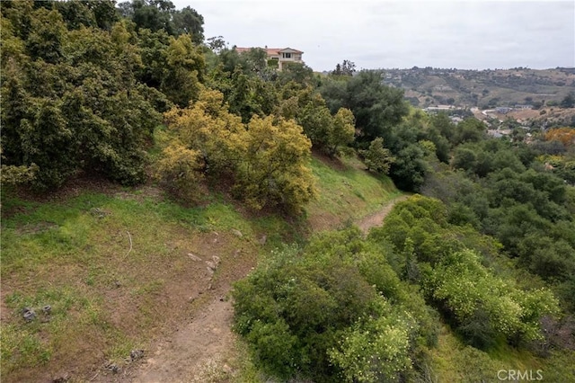2918 Los Campos Dr, Fallbrook, CA 92028 - aerial view of property and surrounding area