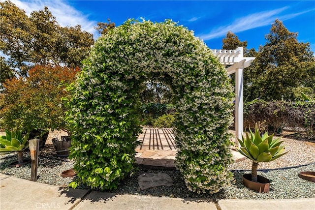 2918 Los Campos Dr, Fallbrook, CA 92028 - view of yard