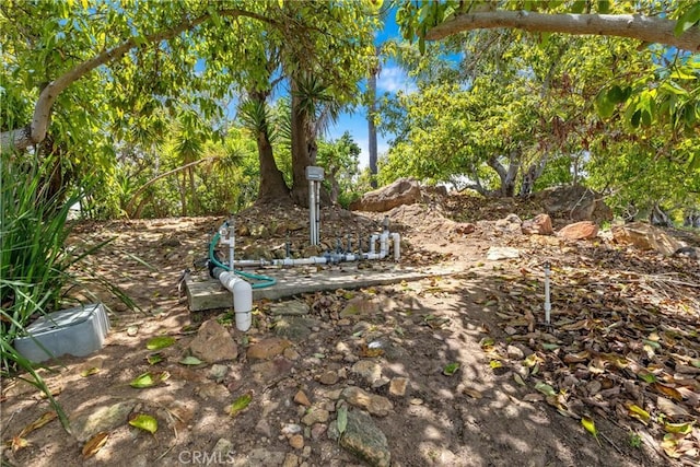 2918 Los Campos Dr, Fallbrook, CA 92028 - view of yard