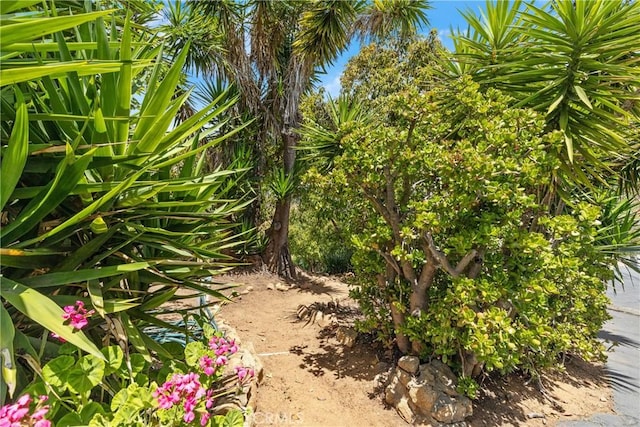 2918 Los Campos Dr, Fallbrook, CA 92028 - view of local wilderness