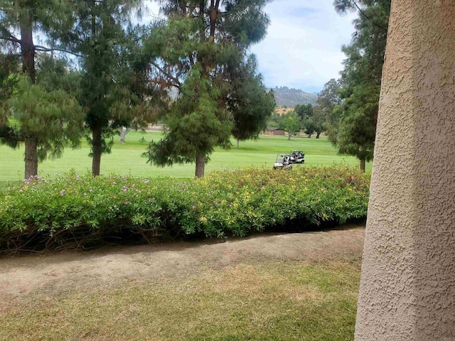 3259 Dehesa Rd Unit 57, El Cajon, CA 92019 - view of green lawn