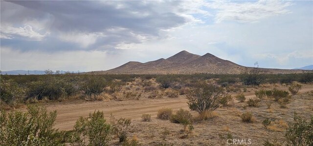 0 67th St W, Rosamond, CA 93560 - photo 4