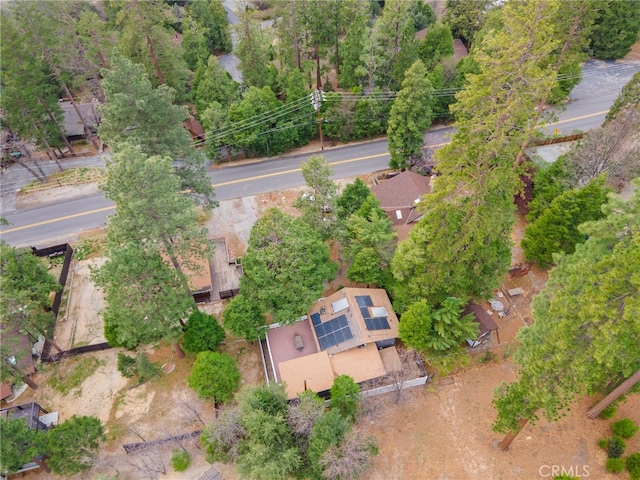 55305 S Circle Dr Unit 2, Idyllwild, CA 92549 - photo 63