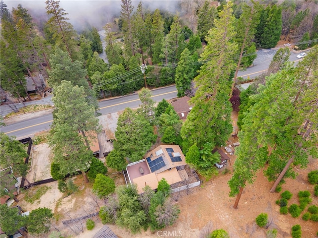 55305 S Circle Dr Unit 2, Idyllwild, CA 92549 - photo 64