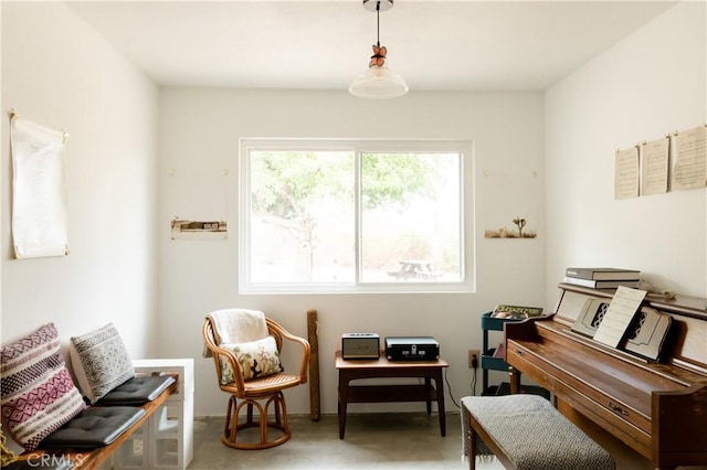 living area featuring finished concrete floors