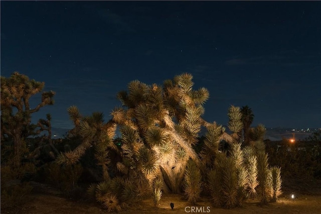 view of nature at twilight