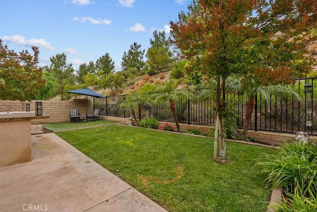 19321 Carranza Ln, Saugus, CA 91350 - view of yard with a patio area and a fenced backyard
