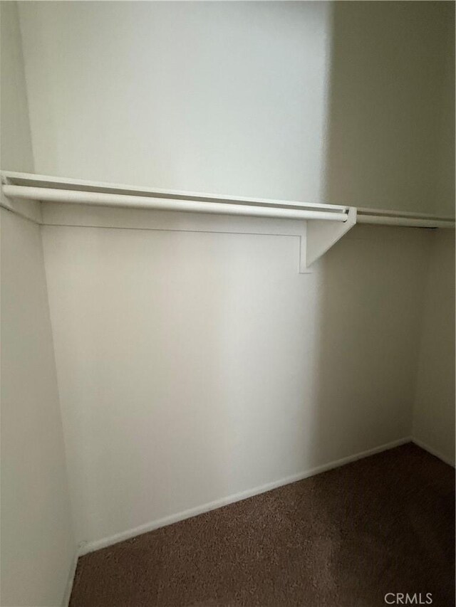 walk in closet with dark colored carpet
