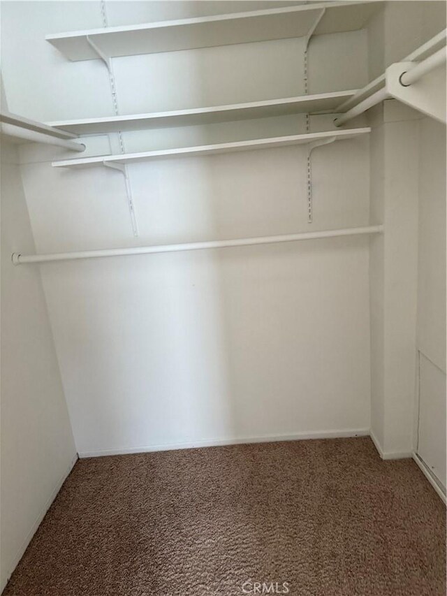 walk in closet featuring carpet