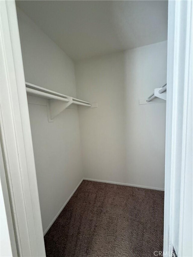 spacious closet with carpet