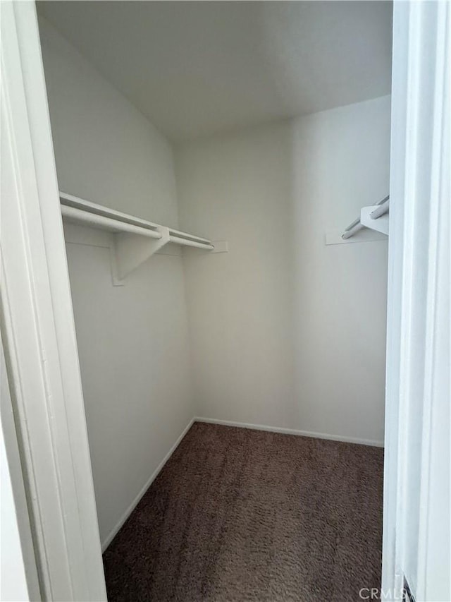 20821 E Calora St Unit E1, Covina, CA 91724 - walk in closet featuring carpet