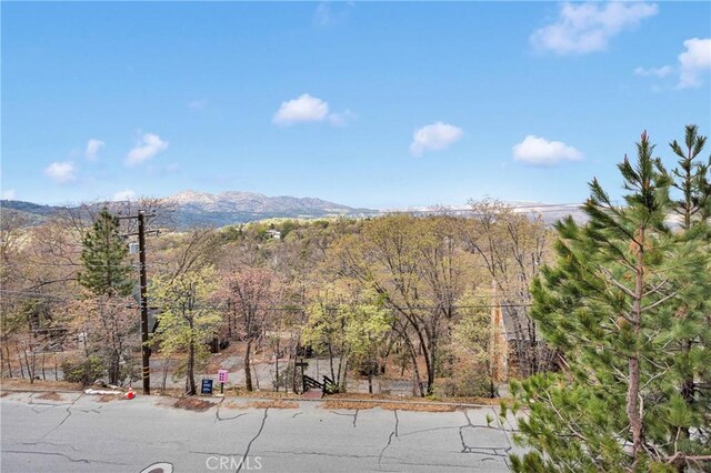 28935 Banff Dr, Lake Arrowhead, CA 92352 - mountain view with a wooded view