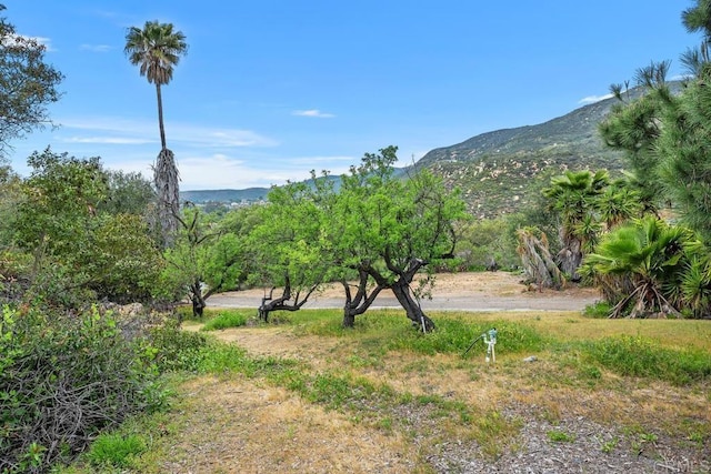 view of mountain feature