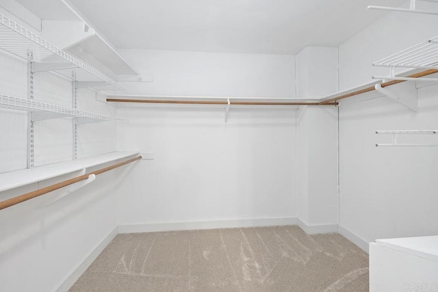 spacious closet featuring light carpet