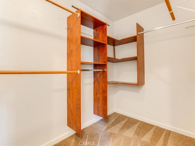 walk in closet featuring carpet floors