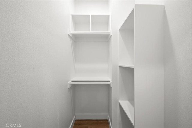 spacious closet featuring dark wood finished floors