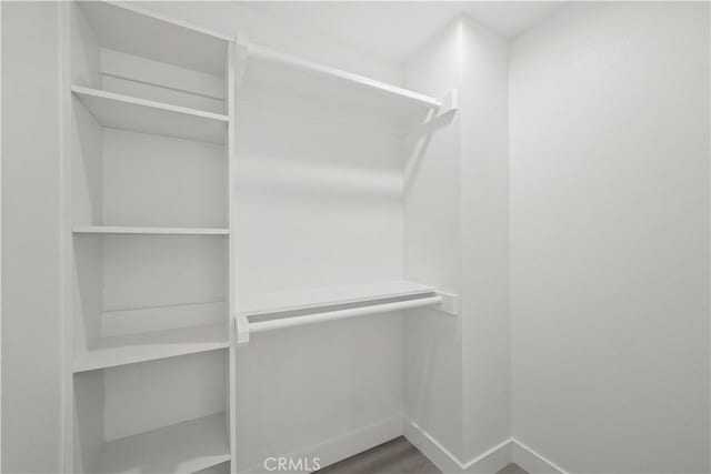 walk in closet with wood finished floors