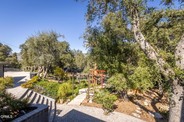 surrounding community with view of scattered trees
