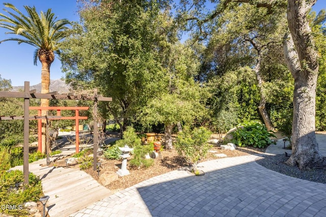 view of yard featuring a patio area