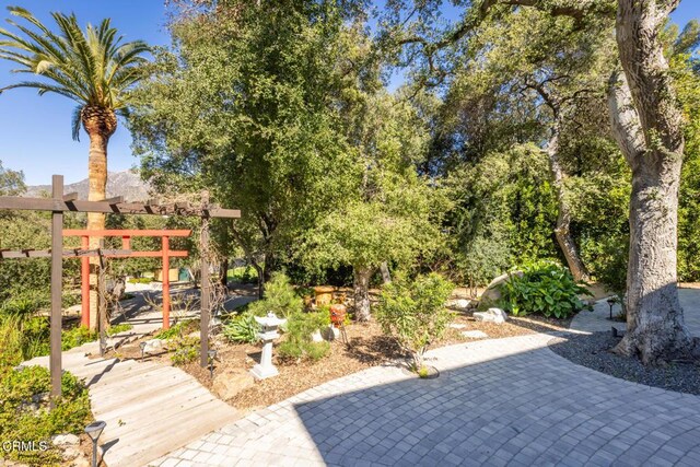 7572 Mcgroarty Ter, Tujunga, CA 91042 - view of yard with a patio area