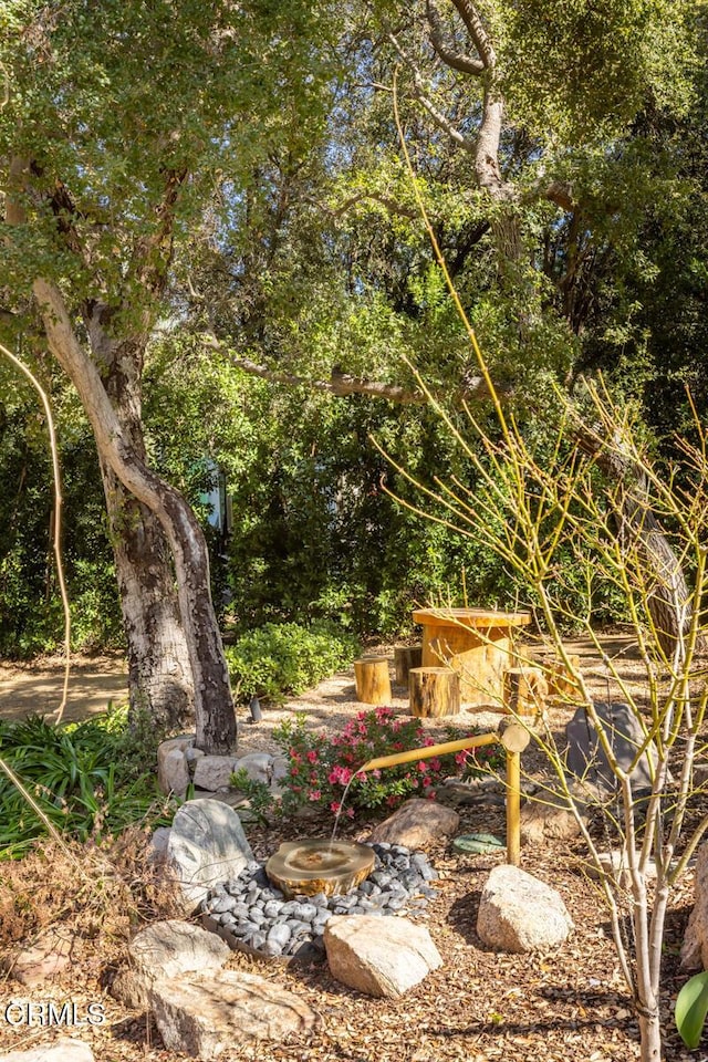 7572 Mcgroarty Ter, Tujunga, CA 91042 - view of local wilderness