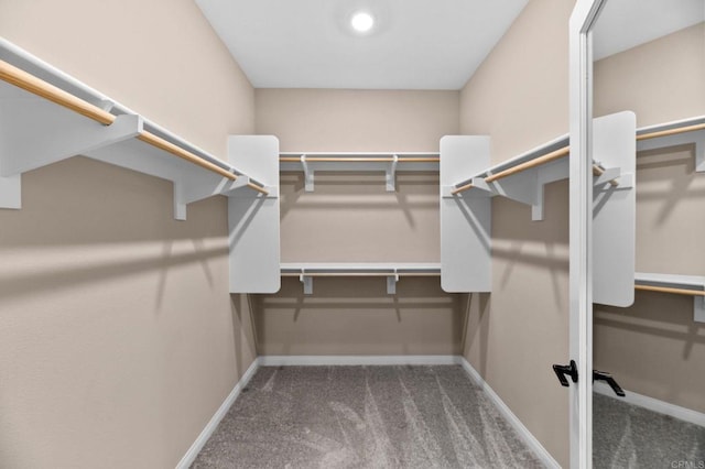 2167 Trevi Cir, Chula Vista, CA 91913 - spacious closet featuring carpet flooring