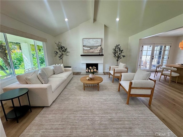 29521 Via, San Sebastian, Laguna Niguel, CA 92677 - living area featuring healthy amount of natural light, wood finished floors, and a fireplace