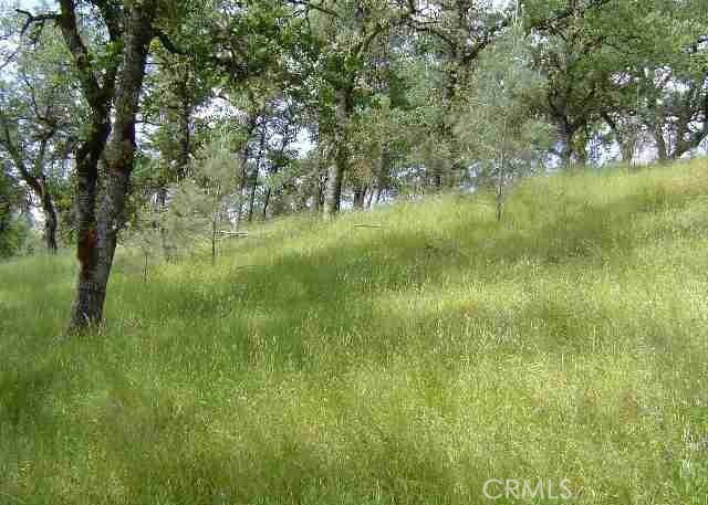 15709 Cache Creek Rd, Clearlake Oaks, CA 95423