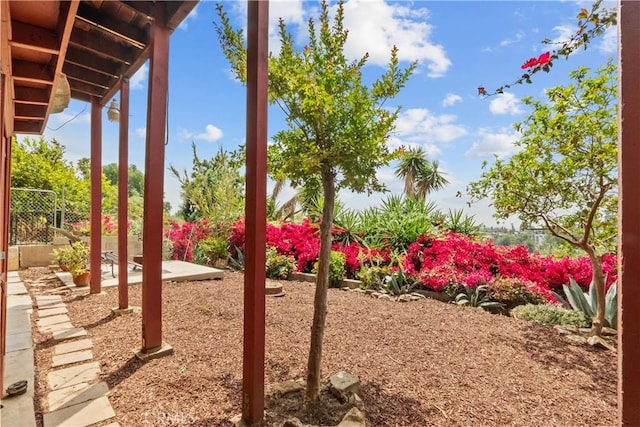 641 Sunnyhill Dr, Los Angeles, CA 90065 - view of yard with a patio and fence