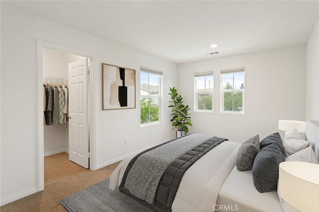 bedroom with a walk in closet, carpet, baseboards, and a closet