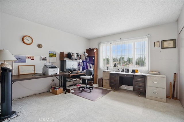11806 Thunderbird Ave, Porter Ranch, CA 91326 - office space featuring light colored carpet and a textured ceiling