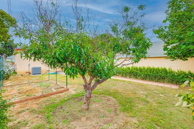 view of yard featuring central air condition unit
