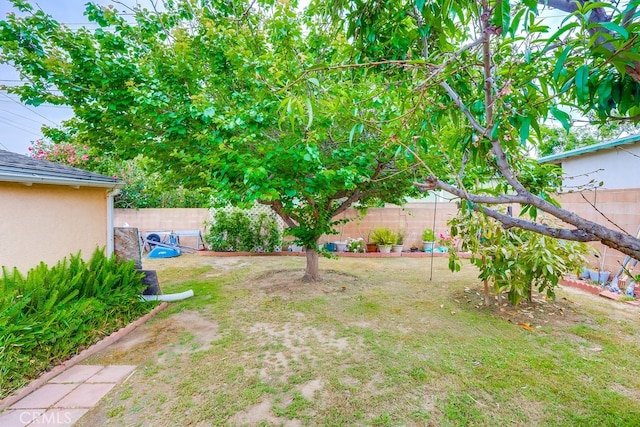 view of yard