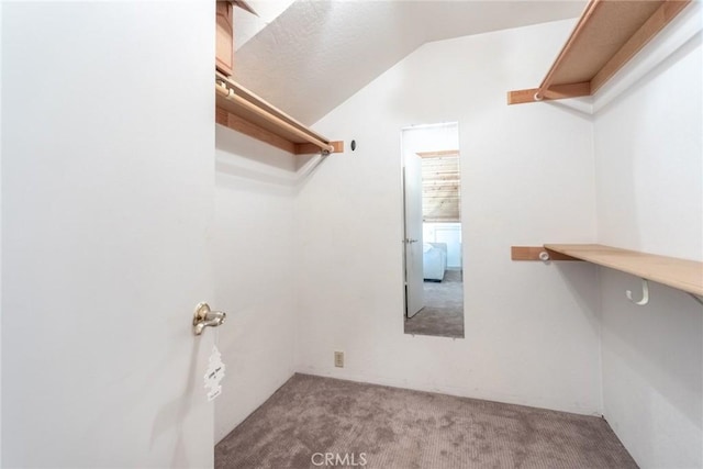 8269 Lost Mill Rd, Shingletown, CA 96088 - walk in closet with lofted ceiling and carpet floors