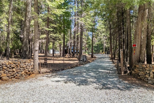 8269 Lost Mill Rd, Shingletown, CA 96088 - view of dirt / gravel driveway with a wooded view