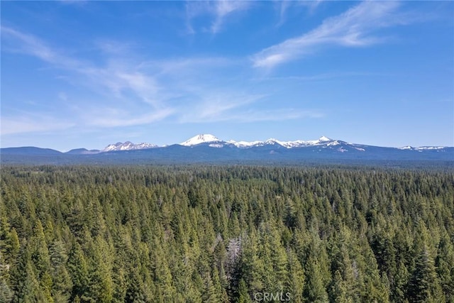 8269 Lost Mill Rd, Shingletown, CA 96088 - mountain view with a forest