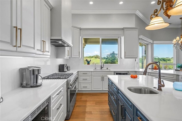 41653 Oak Trail Ct, Murrieta, CA 92562 - kitchen featuring appliances with stainless steel finishes, a sink, blue cabinetry, ornamental molding, and healthy amount of natural light