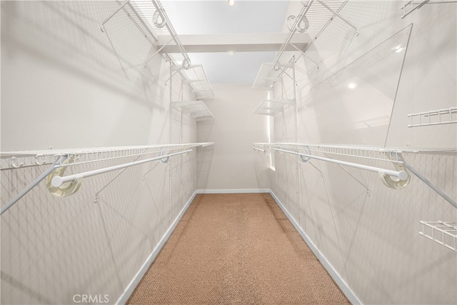 3113 San Anseline Ave, Long Beach, CA 90808 - walk in closet featuring light carpet