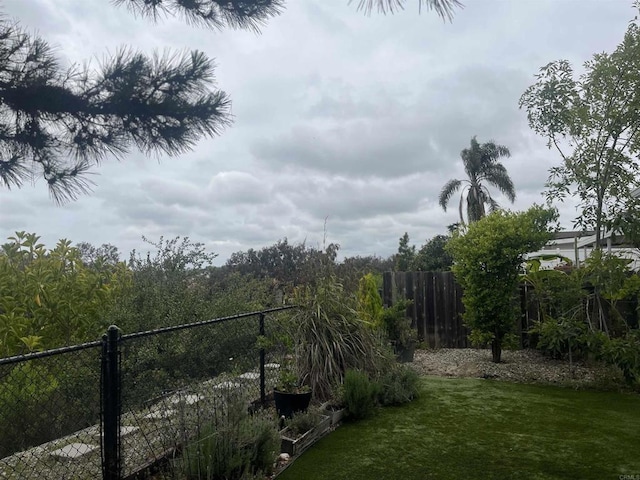 3113 Buena Hills Dr, Oceanside, CA 92056 - view of yard