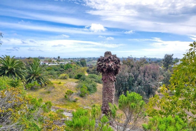 3113 Buena Hills Dr, Oceanside, CA 92056 - view of local wilderness